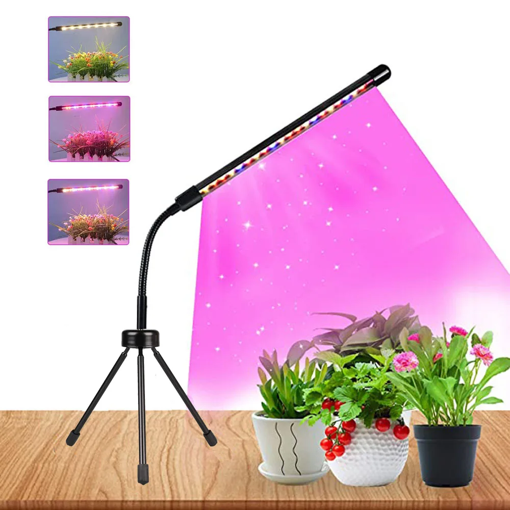 LED-Pflanzenwachstumslampe mit – Plant Desk Mini Bewertung und Preis