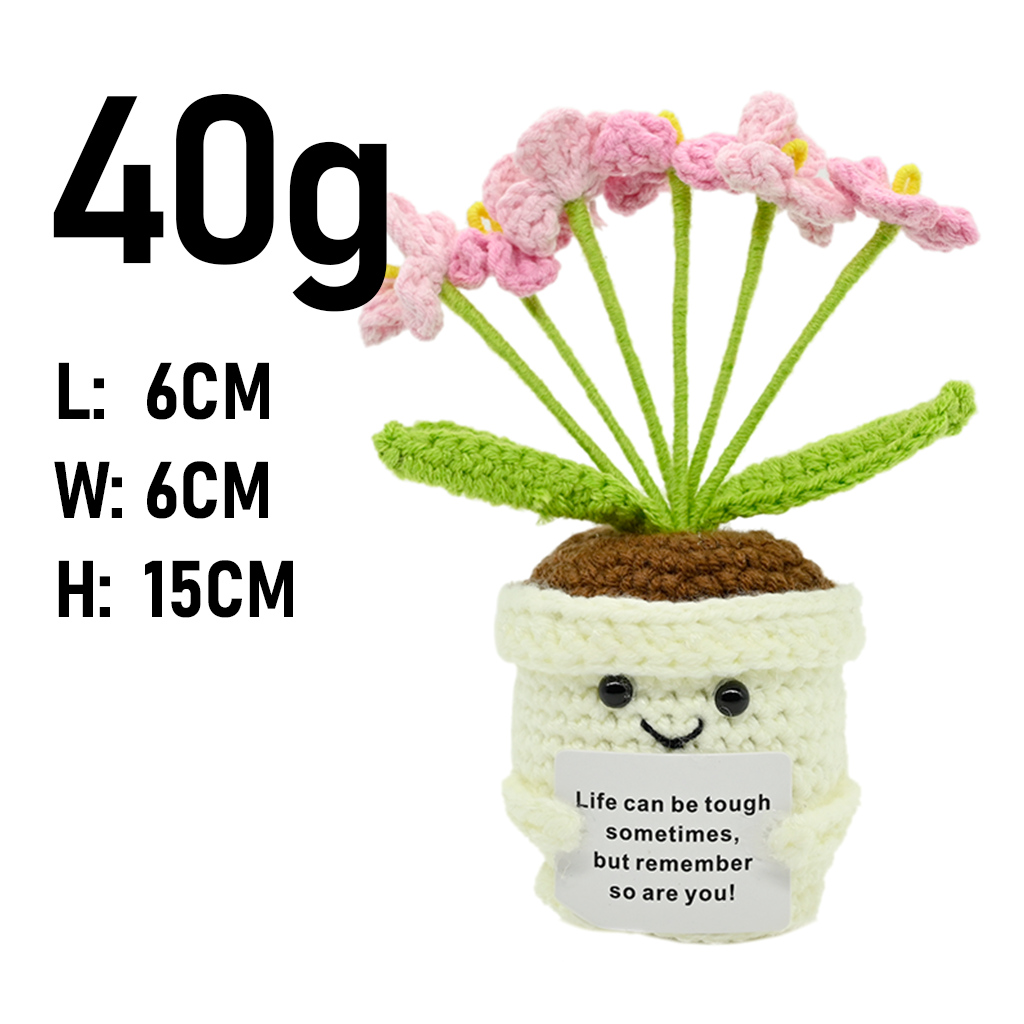 PlantSeries Positive Energie G – Plant Desk Mini Bewertung und Preis