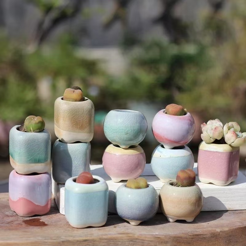 6Pcs Mini Blumentopf Sukkulent – Plant Desk Mini Bewertung und Preis