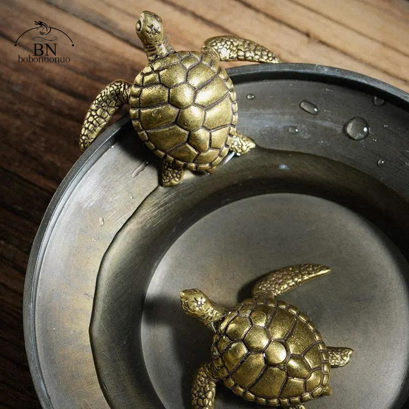 Messing-Schildkröte Kleine Woh – Home Office Freelancer Bewertung und Preis